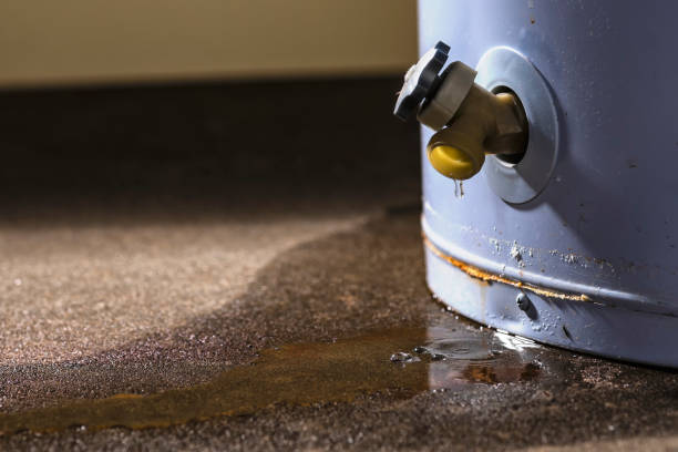 Best Water damage restoration process  in Kaser, NY