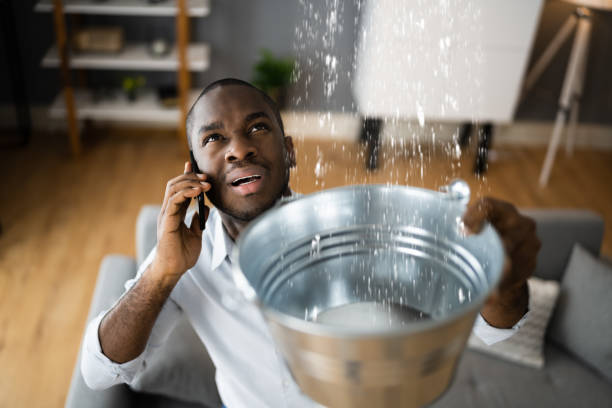 Best Ceiling water damage repair  in Kaser, NY