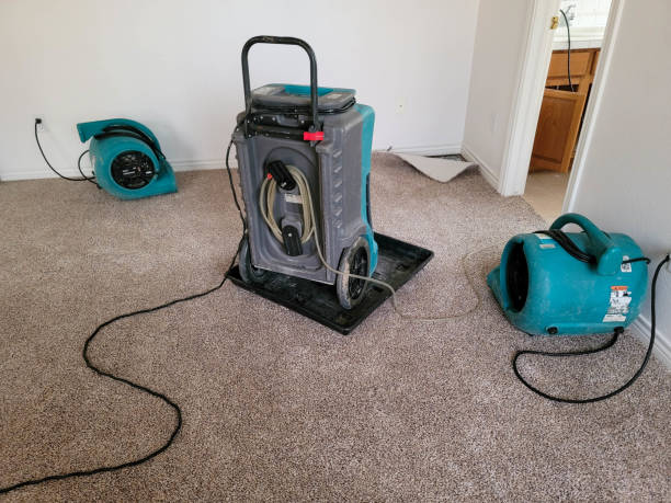 Best Flood restoration services  in Kaser, NY