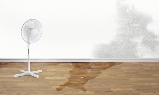 Best Water damage cleanup near me  in Kaser, NY